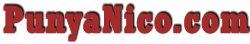 PUNYANICO.COM